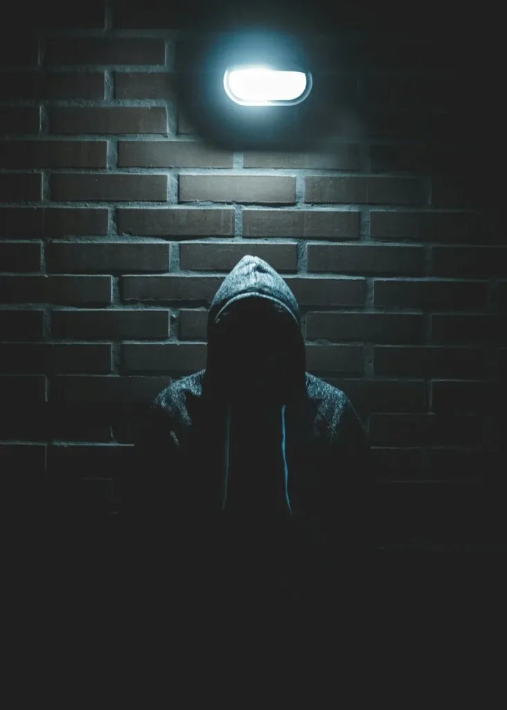 cyber fraud image for display purposes