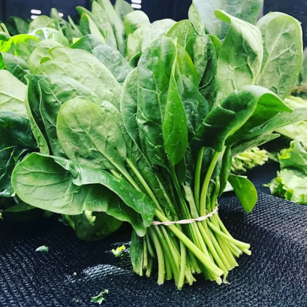 superfoods display image